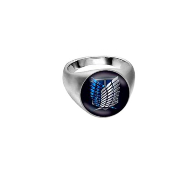Anillos Metalicos